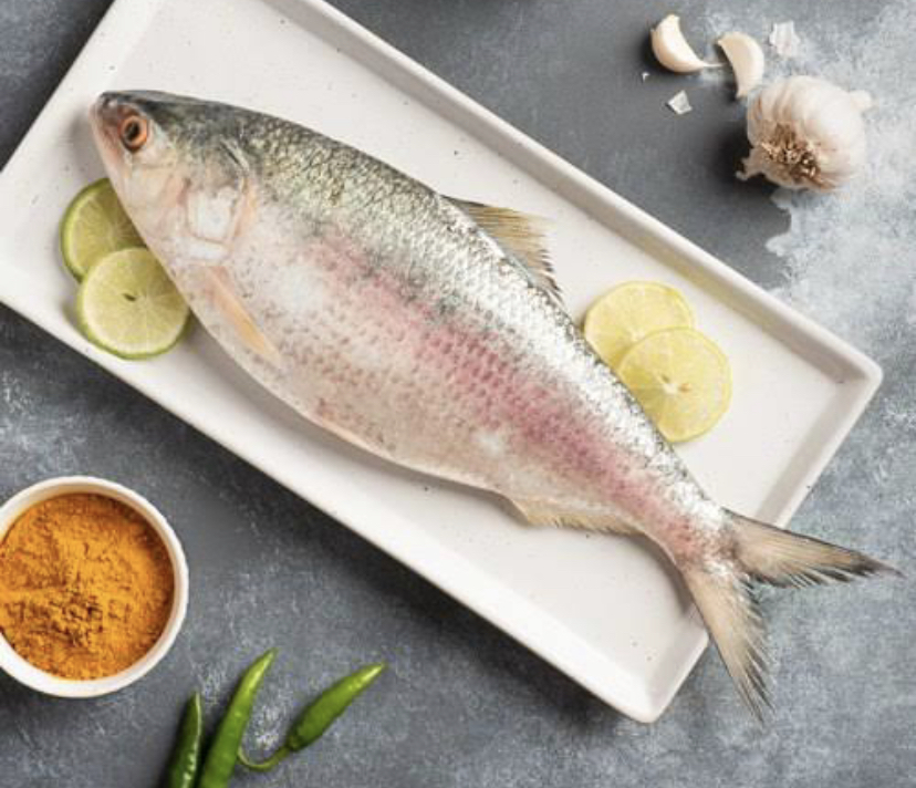 Online Fish Store Buy Fresh Fish Online at Best Prices Meatonn